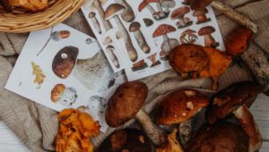 Minimalistická jeseň vás zbaví smútku za letnými dňami